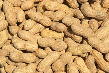 peanuts