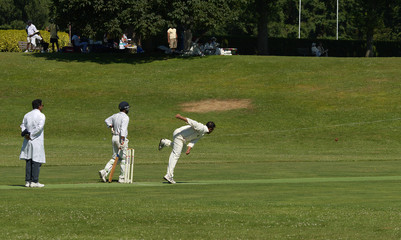 cricket