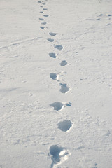 footprints
