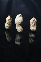 three   peanut  1476