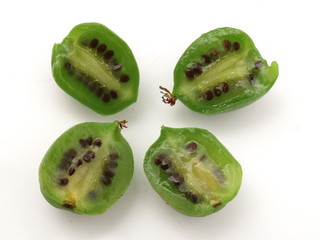 mini kiwis