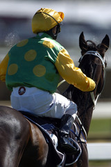 jockey & horse 01