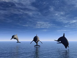 Papier Peint photo autocollant Dauphins dauphin devant