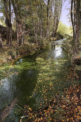 Fototapeta premium rio dulce