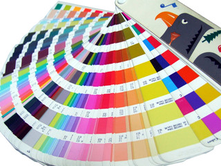 photo palette de couleur