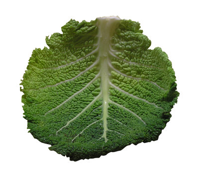 0624 - feuille de chou d&eacute;tour&eacute;e