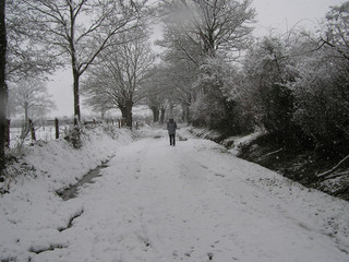 0609- promenade sous la neige