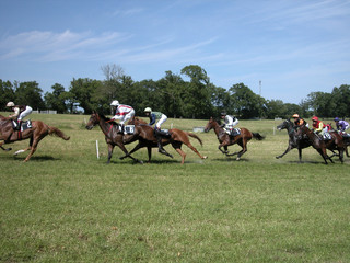 course de cheveaux