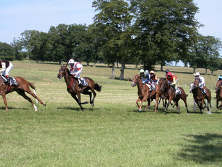 course de cheveaux