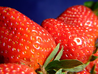 strawberry`s on blue 5