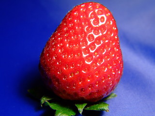 a single strawberry on blue