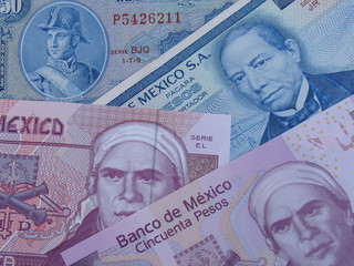 evolución papel moneda