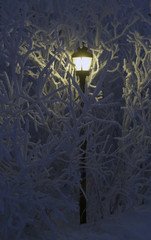 lantern and hoarfrost