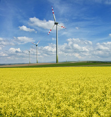 windkraftr&auml;derimrapsfeld