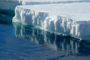 reflecting ice floe