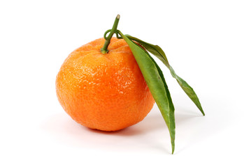 mandarin orange