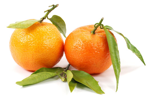 mandarines