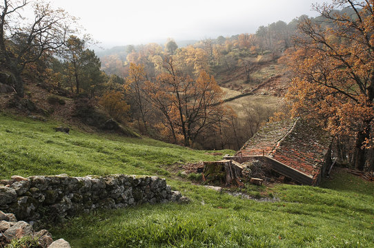 campos de gavilanes.