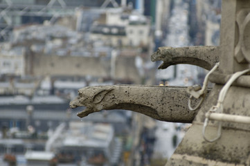 gargoyle above paris.