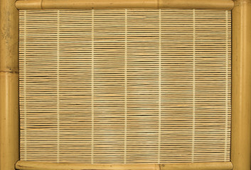 background series: bamboo