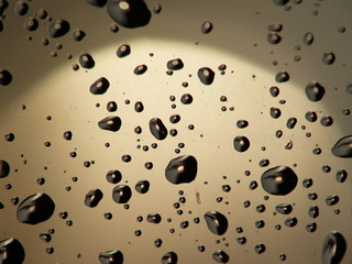 regentropfen beim sonnenschein