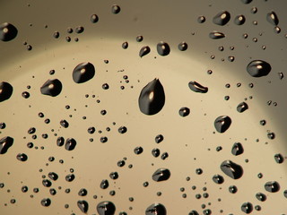 raindrops