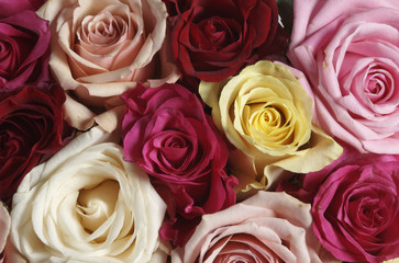 composizione di rose24