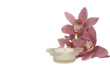 Obraz na płótnie Canvas Orchidea i świeca