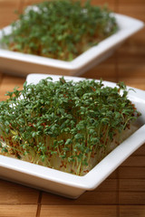 watercress