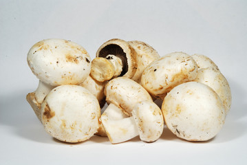 mushrooms detail