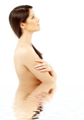 Fototapeta premium topless brunette in water