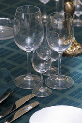 preparation for a dinner