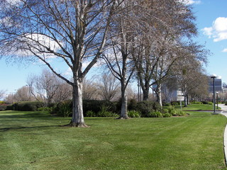 hospital grounds