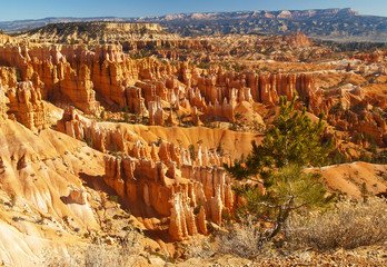 the bryce canyon national park, utah