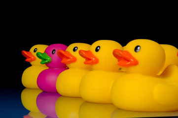 dare to be different - rubber ducks on black
