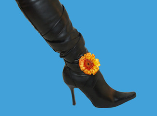 boot  nature