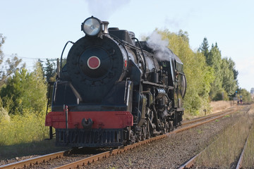 Fototapeta na wymiar steam train 02