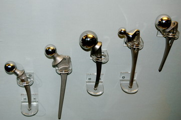 hip joints
