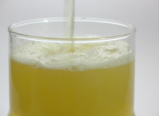 bierglas wird gefüllt
