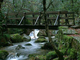 wooden bridge