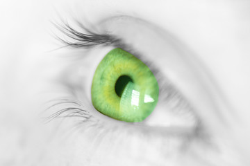 oeil vert