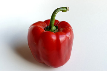 poivron rouge 2