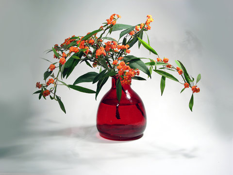 blumenvase