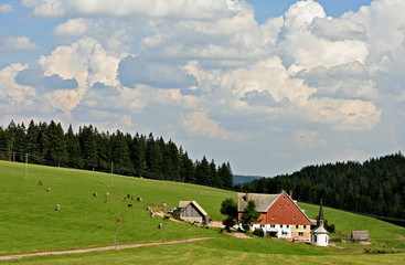 ferme en forêt noire