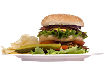 hamburger series (bacon cheeseburger on plate)