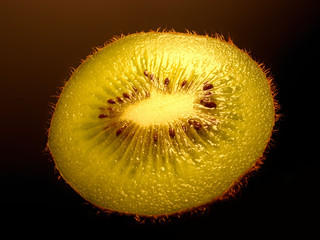 kiwi