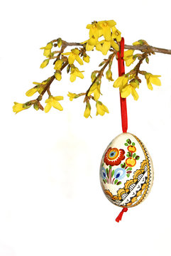 Ostern, Easter, handbemaltes Osterei h&auml;ngt an Forsythienzweig, freigestellt, isoliert, auf weiss, copy space, Hochformat