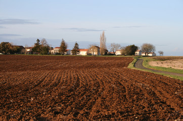 champ labouré