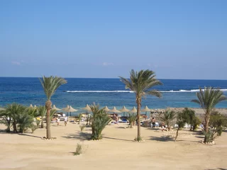 Foto auf Alu-Dibond plage au bord d'un hotel en egypte © JC DRAPIER