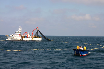 la pêche au thon-9